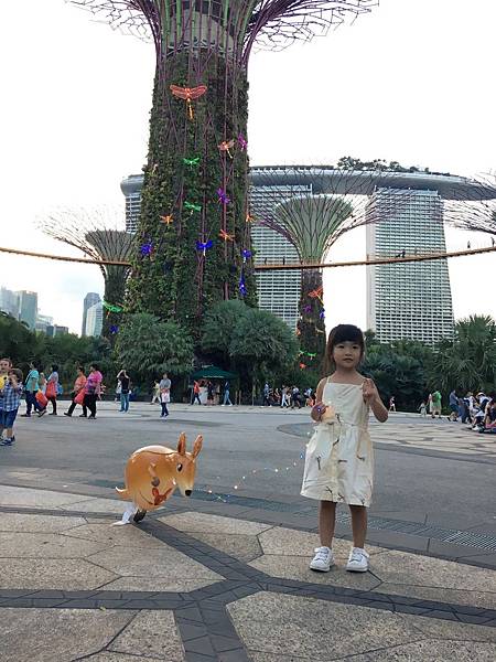 IMG_9568.JPG IMG_9568.JPG