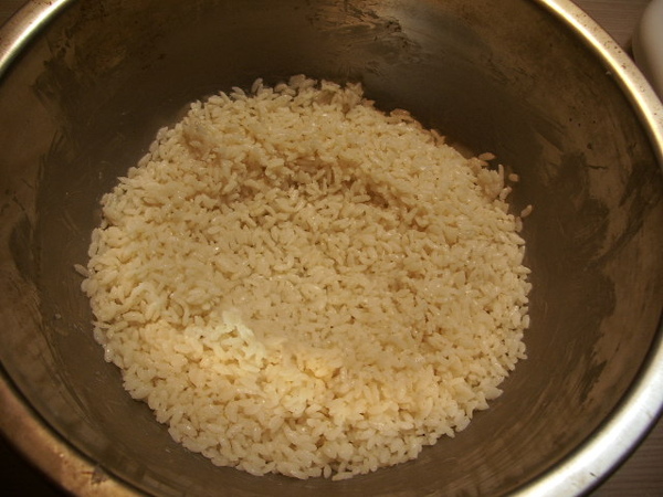 米飯500g:種麴2g拌合