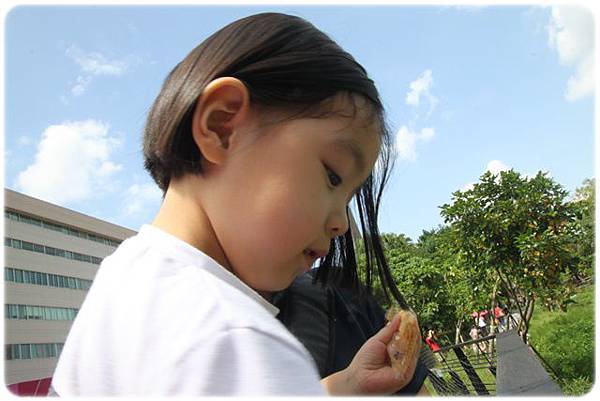 IMG_5074 IMG_5074