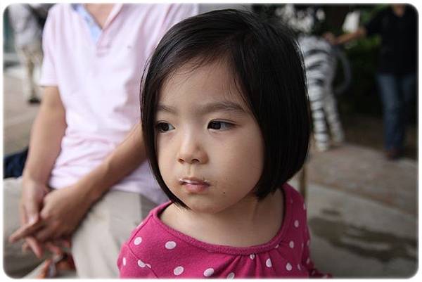 IMG_5617 IMG_5617