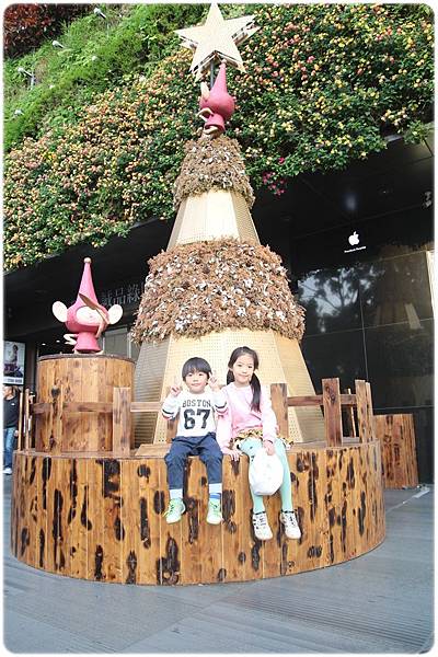 IMG_2682.JPG IMG_2682.JPG