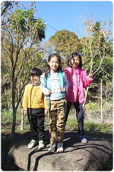 IMG_2742.JPG IMG_2742.JPG