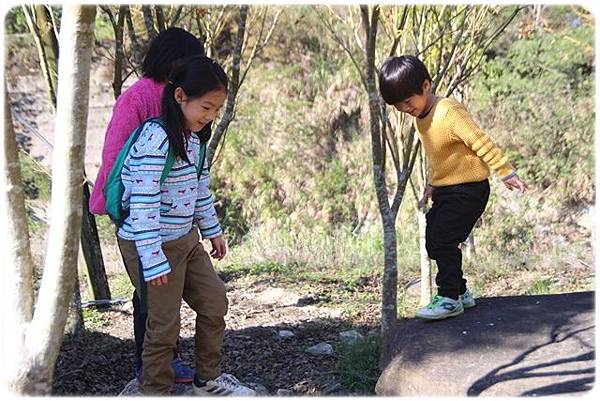 IMG_2747.JPG IMG_2747.JPG