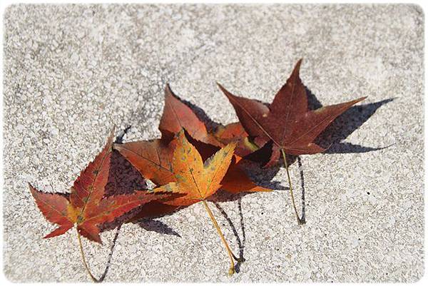 IMG_2757.JPG IMG_2757.JPG