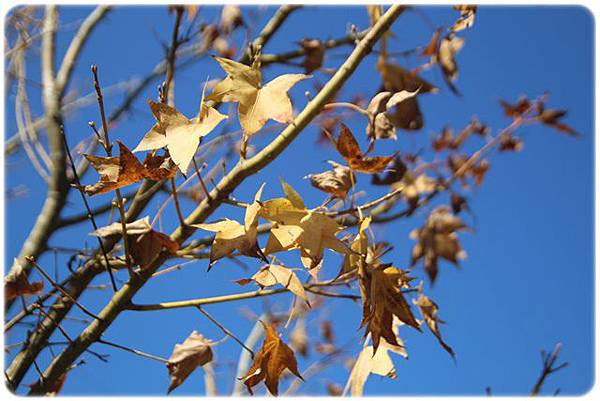 IMG_2755.JPG IMG_2755.JPG