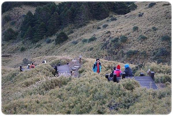 IMG_2226.JPG IMG_2226.JPG