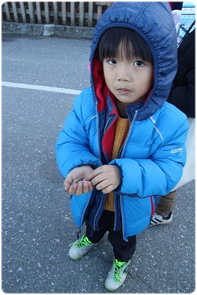 IMG_2818.JPG IMG_2818.JPG