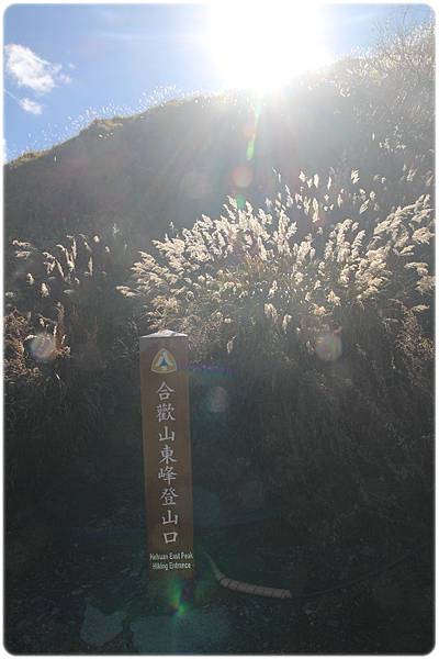 IMG_2826.JPG IMG_2826.JPG