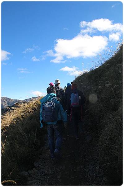 IMG_2833.JPG IMG_2833.JPG