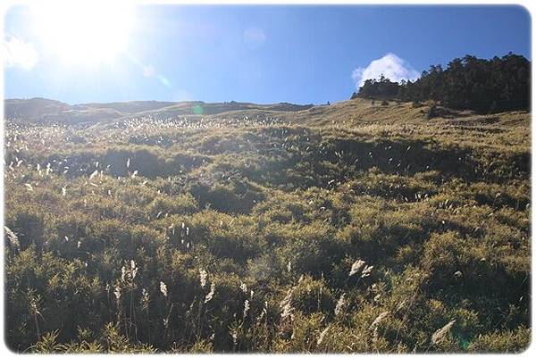 IMG_2838.JPG IMG_2838.JPG