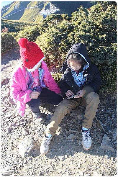 IMG_2875.JPG IMG_2875.JPG