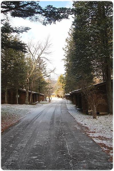 IMG_0707.JPG IMG_0707.JPG