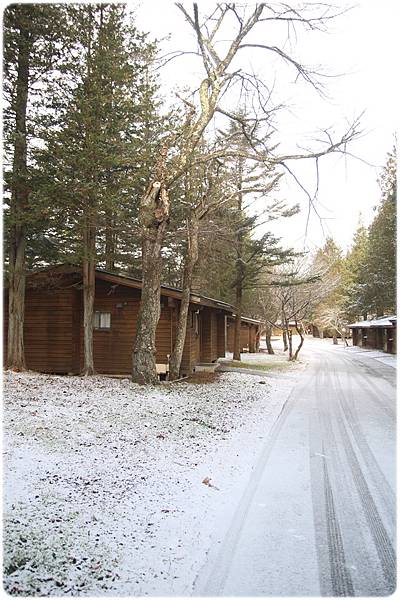 IMG_0708.JPG IMG_0708.JPG