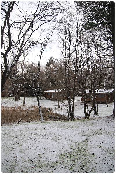 IMG_0713.JPG IMG_0713.JPG