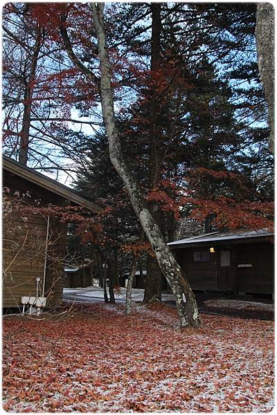 IMG_0721.JPG IMG_0721.JPG