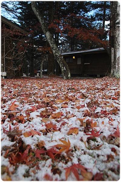 IMG_0719.JPG IMG_0719.JPG