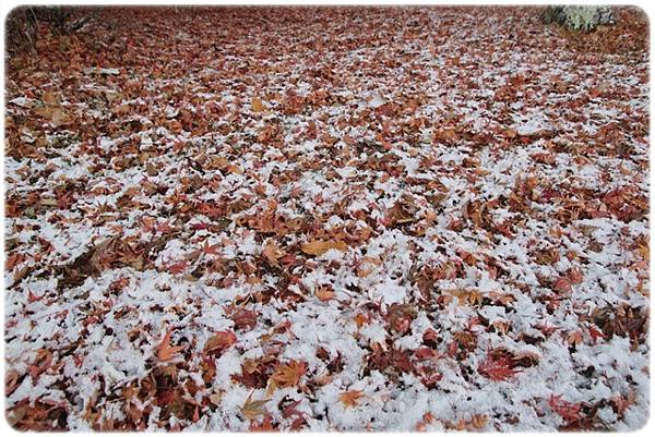 IMG_0720.JPG IMG_0720.JPG