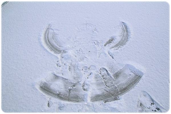 IMG_0785.JPG IMG_0785.JPG