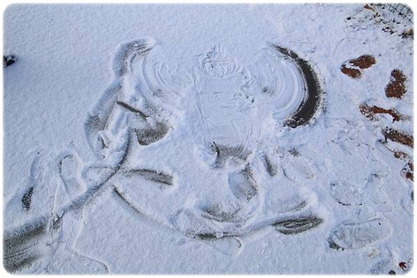 IMG_0781.JPG IMG_0781.JPG