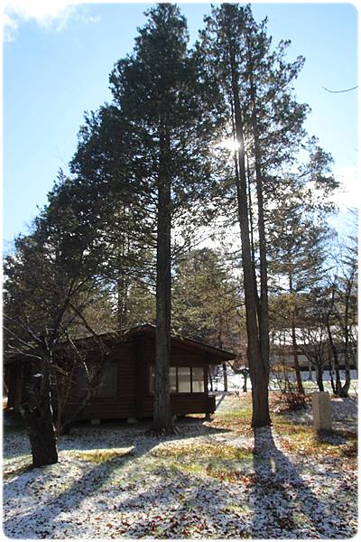 IMG_0800.JPG IMG_0800.JPG