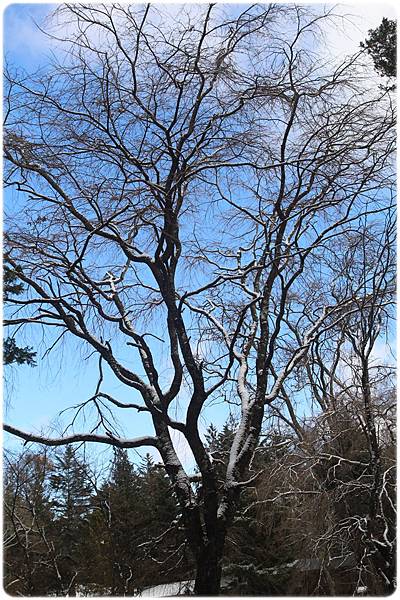 IMG_0790.JPG IMG_0790.JPG