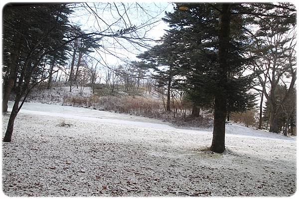 IMG_0797.JPG IMG_0797.JPG