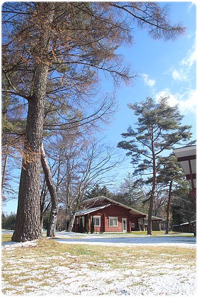 IMG_0806.JPG IMG_0806.JPG