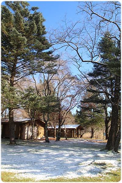 IMG_0801.JPG IMG_0801.JPG