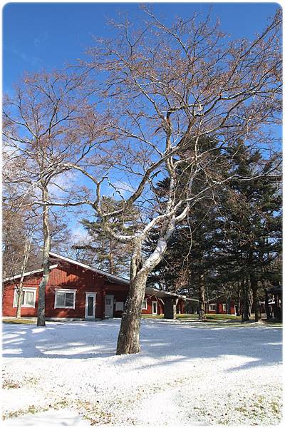 IMG_0802.JPG IMG_0802.JPG