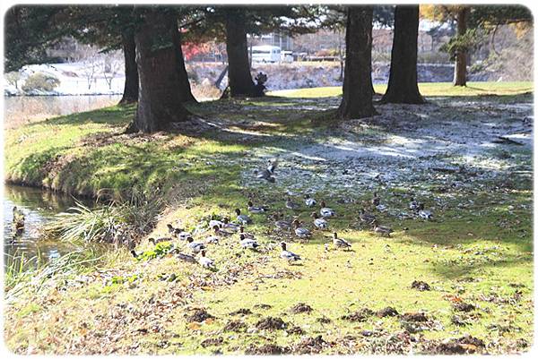 IMG_0813.JPG IMG_0813.JPG