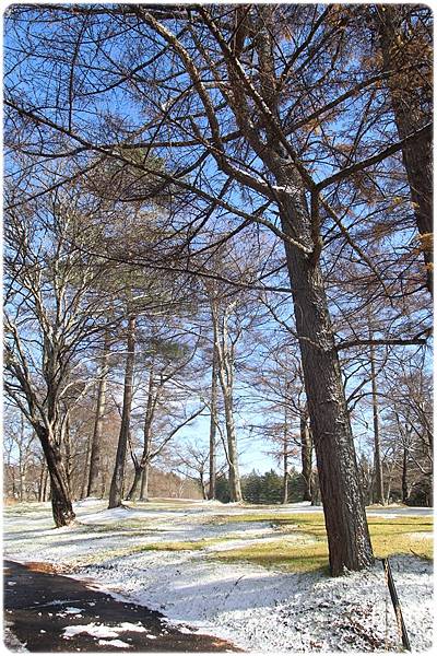 IMG_0809.JPG IMG_0809.JPG