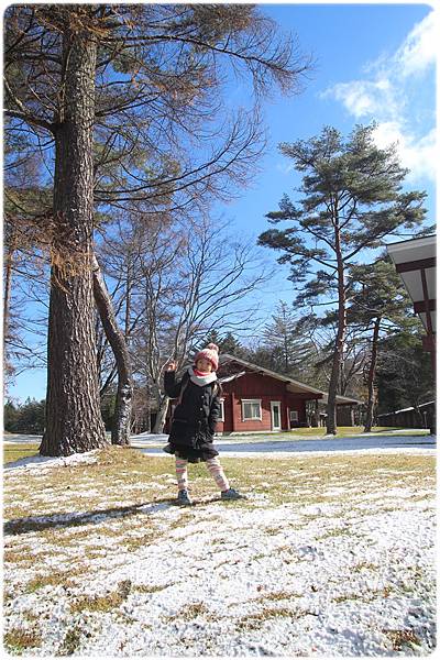 IMG_0808.JPG IMG_0808.JPG