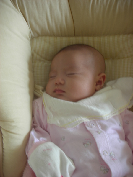 DSCN5834.JPG DSCN5834.JPG