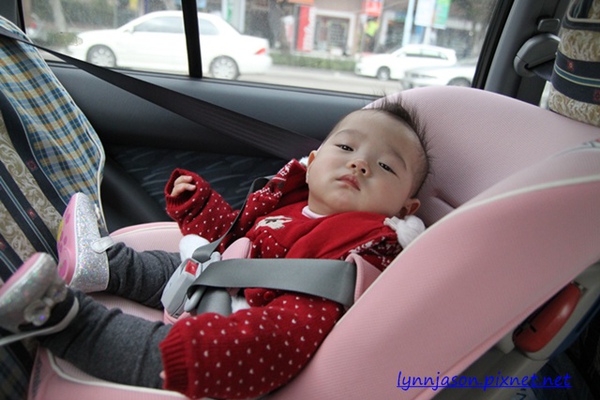 IMG_0978_M.JPG IMG_0978_M.JPG