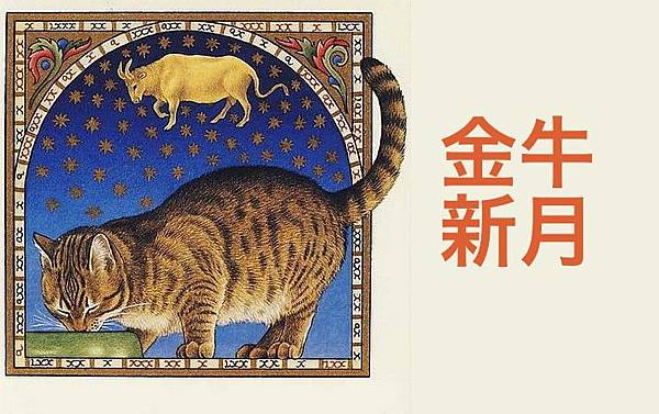 c.jpg 35歲安達祐實 美女健身教練 以貌取人星座 郭書瑤 肌膚保養 谷阿莫侵權 大福彩 除臭襪 滴雞精 嚴正嵐 奧米加咆哮獸 喉頭軟化症 地震 Il Mercato 勇士 Outlast 2 金牌特務 邰智源 沙威瑪寶寶
