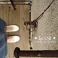 Look02