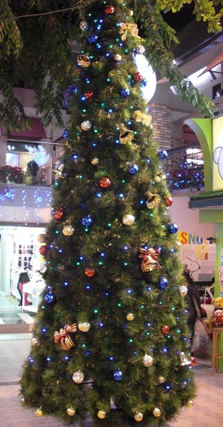 20081224)FungGia GardenMall.JPG