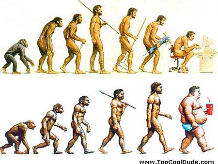 ape-man-evolution