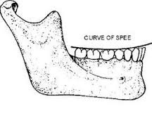 Curve of Spee(史必氏曲) & Curve of Wilson(威爾森曲) @ 崇愛牙醫診所(資料重建中,歡迎新舊朋友) :: 痞客邦::