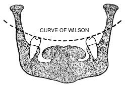 Curve of Spee(史必氏曲) & Curve of Wilson(威爾森曲) @ 崇愛牙醫診所(資料重建中,歡迎新舊朋友) :: 痞客邦::