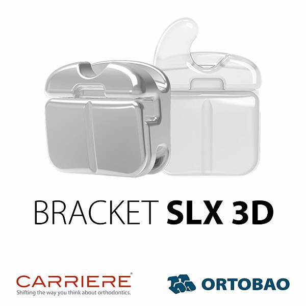 slx3d-bracket-Ortobao-carriere.jpg