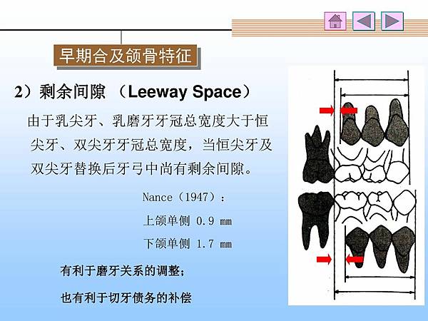 2）剩余间隙+（Leeway+Space）+由于乳尖牙、乳磨牙牙冠总宽度大于恒尖牙、双尖牙牙冠总宽度，当恒尖牙及双尖牙替换后牙弓中尚有剩余间隙%u3002+Nance（1947）：+上颌单侧+0.9+mm..jpg