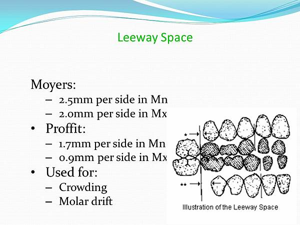 Leeway+Space+Moyers +Proffit +Used+for +2.5mm+per+side+in+Mn.jpg