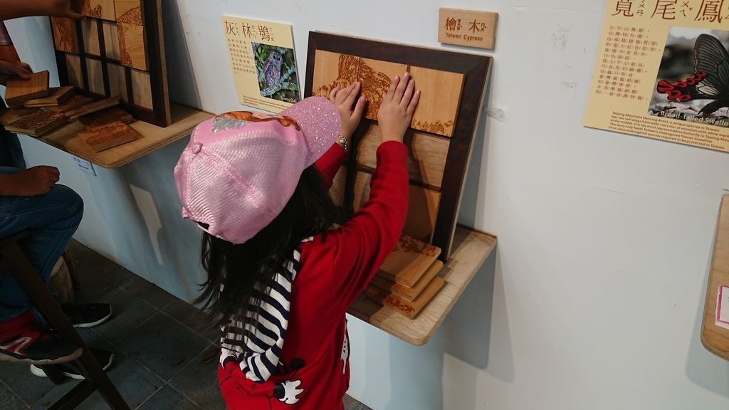 tree13.JPG tree13.JPG