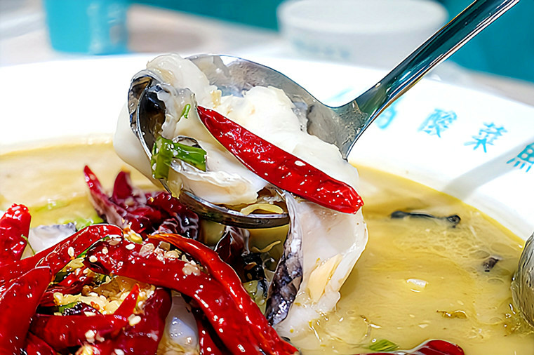 /tmp/phpKYlBKo /tmp/phpKYlBKo