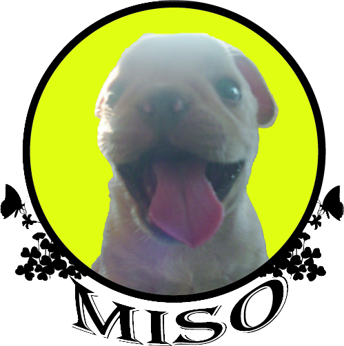 miso.jpg