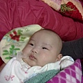 20110131029.jpg