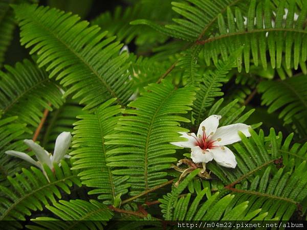 DSCN0074.JPG DSCN0074.JPG