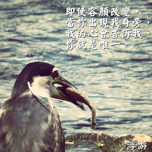 DSCN9146_meitu_1.jpg DSCN9146_meitu_1.jpg