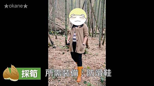 20200407採筍_竹筍的保存方法_炒筍_湯筍03.jpg 20200407採筍_竹筍的保存方法_炒筍_湯筍03.jpg